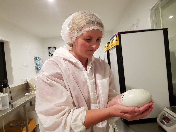 Kim from Kiwis for Kiwi, checks progress of a kiwi egg