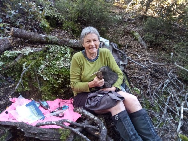 Deb Harrington helps with a kiwi health check